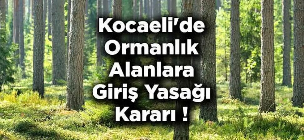 Artan yangin riski nedeniyle ates ve izinsiz girislere siki denetim geliyor Artan yangın riski nedeniyle ateş ve izinsiz girişlere sıkı denetim geliyor