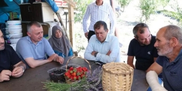 Başkan Büyükakın, Karamürsel’de Çilek Hasadına Katıldı