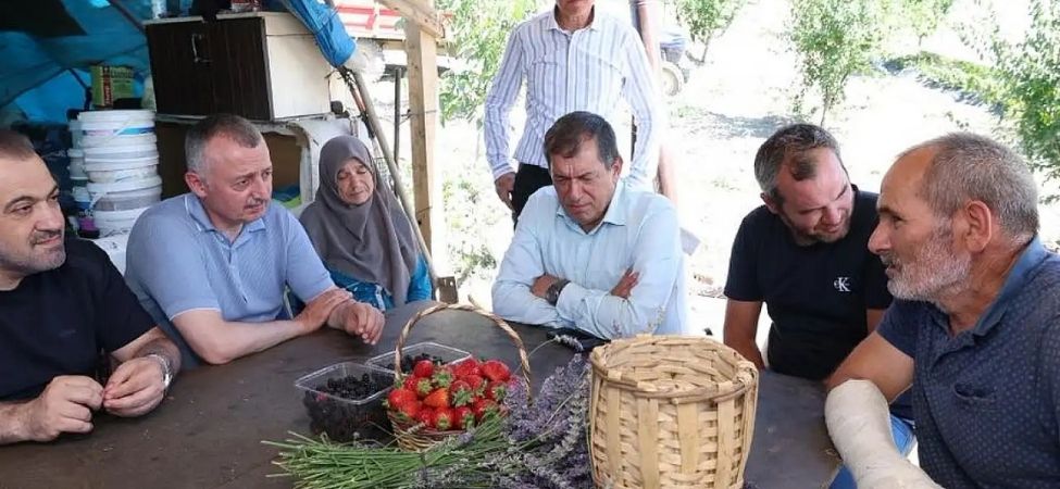 Baskan Buyukakin Karamurselde Cilek Hasadina Katildi Başkan Büyükakın, Karamürsel’de Çilek Hasadına Katıldı