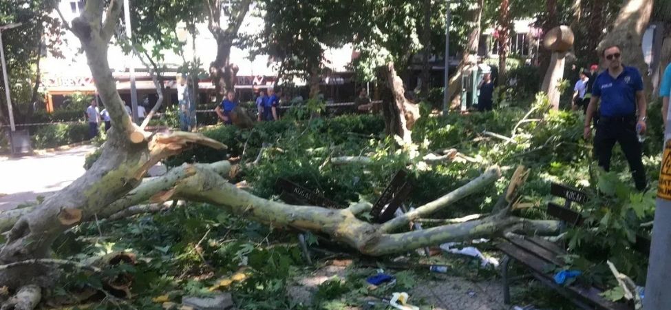Değirmendere’deki Çınar Kazasında İkinci Acı Seda Karakol Hayatını Kaybetti