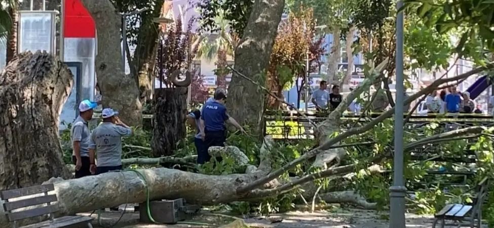 Genç Öğretmenin Ani Ölümü Yürekleri Dağladı (1)