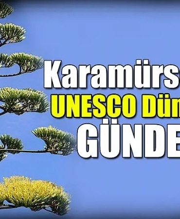 Ereğli’de Dünya Mirası Agave Kaktüsü Yüzyılda Bir Açtı!