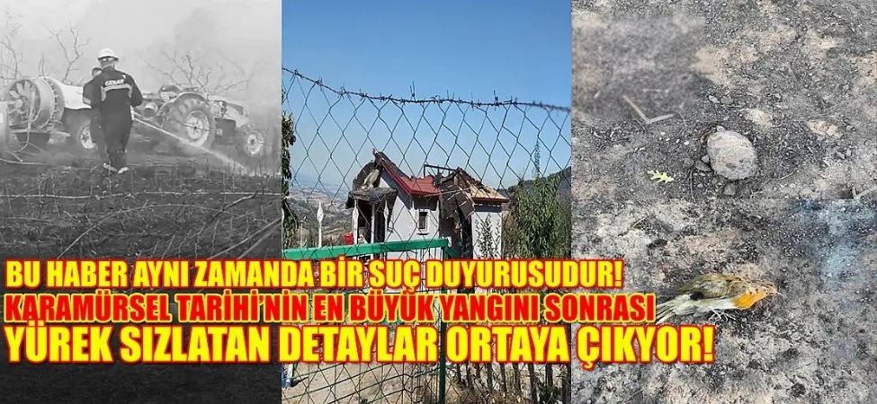 Karamurselde Felaket Gibi Yangin Alevler Ormani Sardi Mahallelere Dayandi Karamürsel’de Felaket Gibi Yangın Alevler Ormanı Sardı, Mahallelere Dayandı