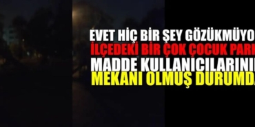 Karamürsel’de Parklar Tehlike Altında Mahalle Sakinleri Tedirgin