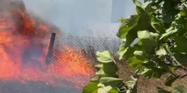 Kocaeli’de Orman Yangınlarına Bir Yenisı Eklendi Kandıra Koruklar Köyü Alevlere Teslim