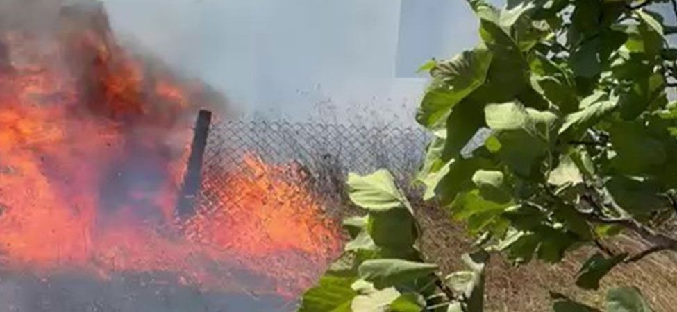 Kocaeli’de Orman Yangınlarına Bir Yenisı Eklendi Kandıra Koruklar Köyü Alevlere Teslim