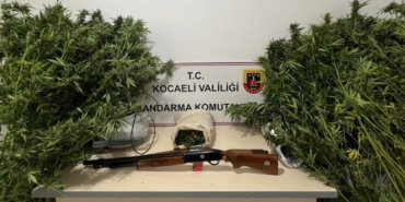 Jandarma Baskınında 10 Kök Skunk, 1.546 gram ve Silah Malzemeleri Ele Geçirildi; Şüpheli Adli Kontrolle Serbest