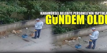 Karamürsel’de Temizlik Görevlisinin Kedilere Olan Sevgisi Yürekleri Isıttı