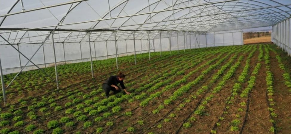 Kocaeli’de Tarımda Yeni Dönem 207 Çiftçiye Modern Sera Desteği