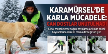 Karamürsel'de Kar Esareti Can Dostlarımıza Engel Olmadı