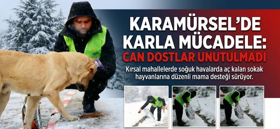 Karamürsel'de Kar Esareti Can Dostlarımıza Engel Olmadı