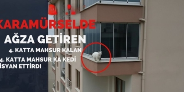 Karamürsel'de Yürekleri Ağza Getiren Görüntü 4. Katta Kedi Mahsur Kaldı!