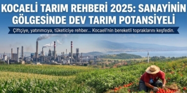 Kocaeli Tarım Rehberi 2025 Sanayinin Gölgesinde Dev Tarım Potansiyeli