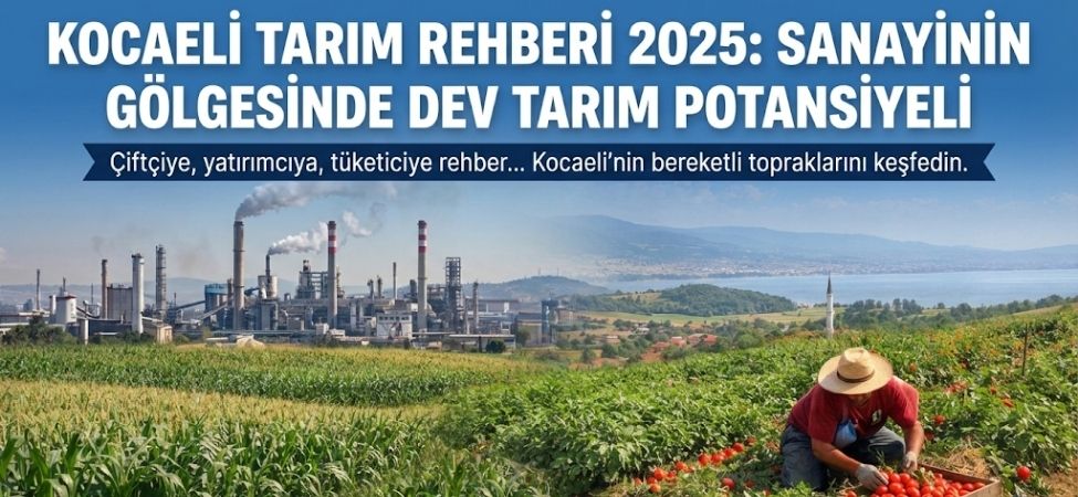 Kocaeli Tarım Rehberi 2025 Sanayinin Gölgesinde Dev Tarım Potansiyeli