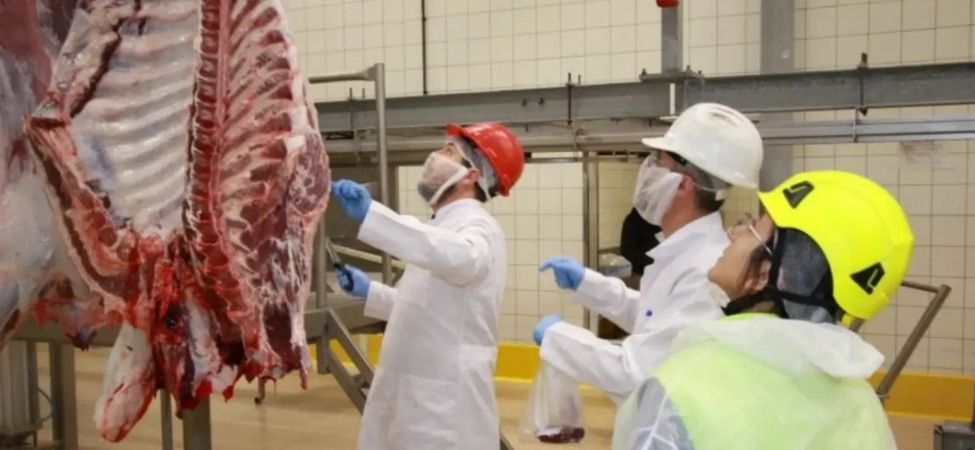 Karamursel Mezbahasinda Kurban Kesim Basvurulari 11 Mayis Pazartesi Gunu Basliyor Karamürsel Mezbahasında Kurban Kesim Başvuruları 11 Mayıs Pazartesi Günü Başlıyor