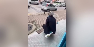 Karamürsel'de Kediye Yağ Çözücü Sıkan Market Çalışanının Davasında Karar Belli Oldu