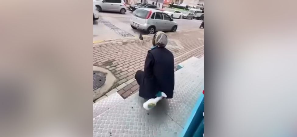 Karamurselde Kediye Yag Cozucu Sikan Market Calisaninin Davasinda Karar Belli Oldu Karamürsel'de Kediye Yağ Çözücü Sıkan Market Çalışanının Davasında Karar Belli Oldu