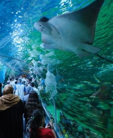 Karamürsellilerin Yeni Gezi Rotası Körfez Aqua Açıldı 28 Haziran'a Kadar Ücretsiz Olan Dev Akvaryumda Bilet Fiyatları Belli Oldu