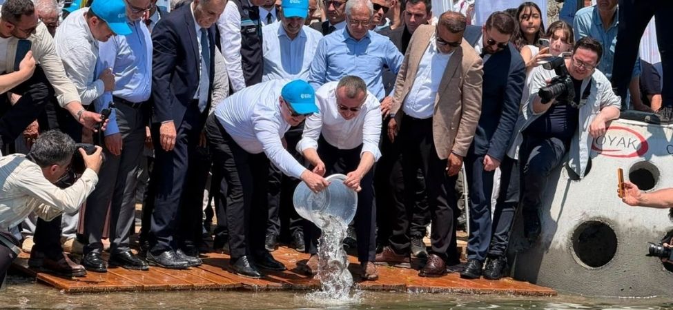 Körfez'in Ekosistemi Güçleniyor Sulara Salınan 6 Bin Balık ve Yapay Resifler Karamürsel Balıkçısına Umut Oldu