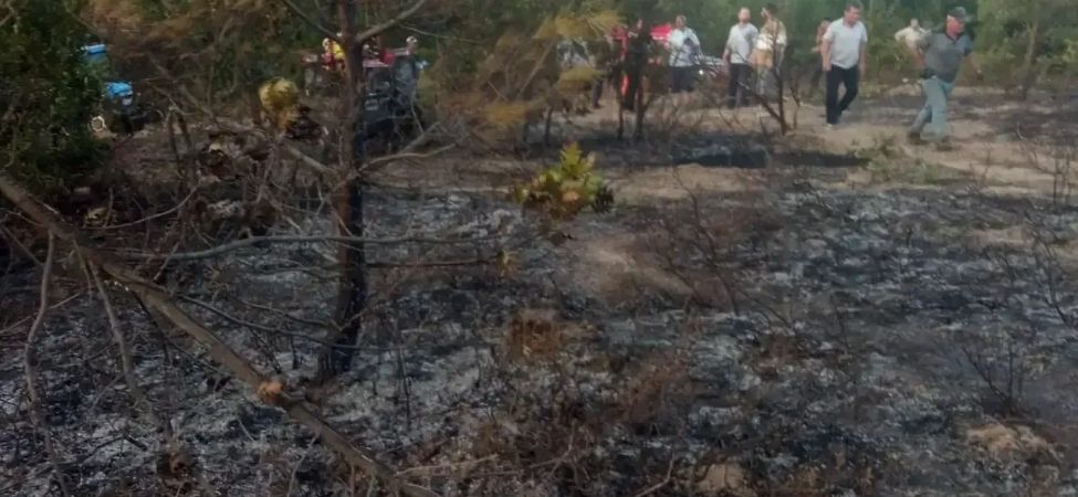 Karamursel Camdibi Koyunde Cikan Orman Yangininda 30 Donumden Fazla Alan Kul Oldu 1 Karamursel Camdibi Koyunde Cikan Orman Yangininda 30 Donumden Fazla Alan Kul Oldu 1